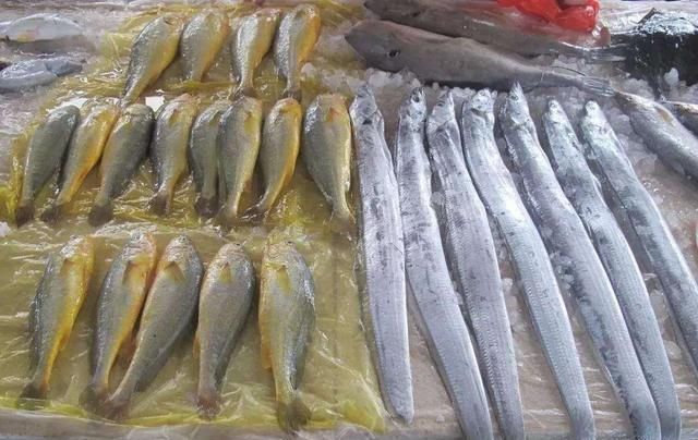 去菜市场买鱼时,看到“这3种”扭头就走,鱼贩:我们自己都不吃
