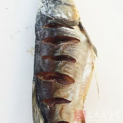 广东买鱼靠碰运气 水产 准入制 即将施行
