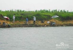 深秋时节鱼不吃钩怎么办 野钓鱼不开口解决办法