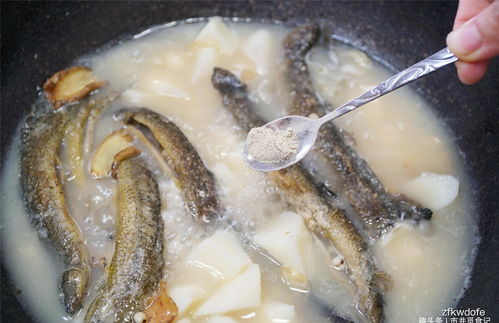 三伏天里,这种鱼煲汤最鲜美,25元一斤,味道鲜美赛过鲈鱼