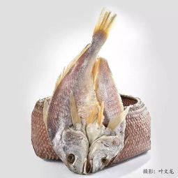 有一种乡愁,叫合不上嘴 迈不开腿